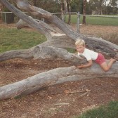 Koala-Group-1990-Mark